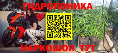 PSILOCYBIN Наро-Фоминск