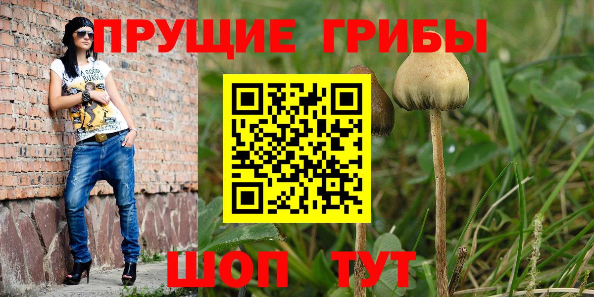 Псилоцибиновые грибы MAGIC MUSHROOMS Чита