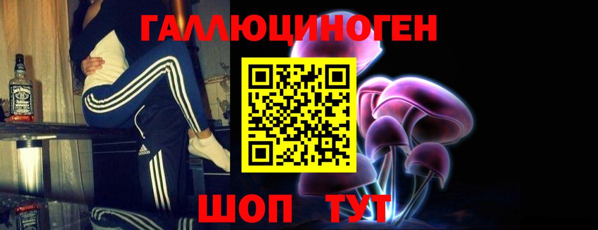 Чита  цена   Вход с VPN  Псилоцибиновые грибы ЛСД 